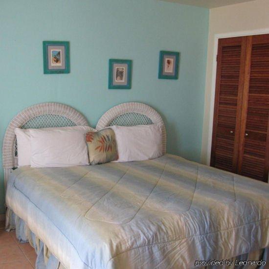 Anegada Reef Hotel The Settlement Habitación foto